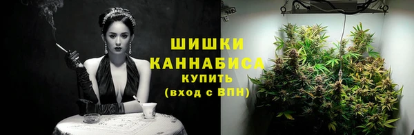 мдпв Артём