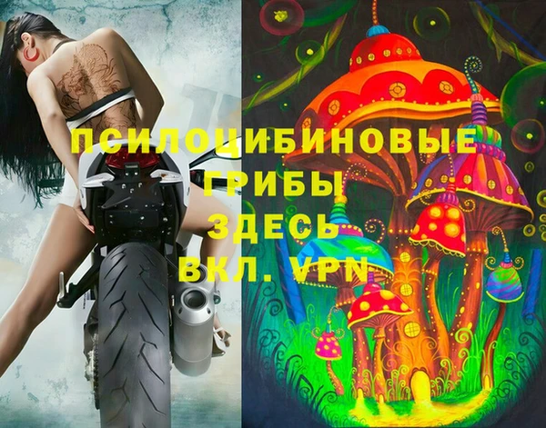 первитин Кукмор