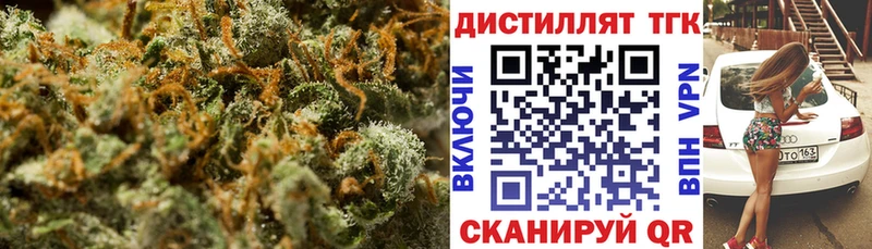 Купить где  Нефтекумск  ТГК концентрат 