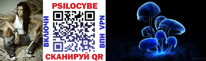 Купить закладки  Нефтекумск  Псилоцибиновые грибы GOLDEN TEACHER 
